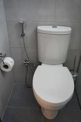 a white toilet in a bathroom with a shower at Petra Passion Inn in Taiyiba