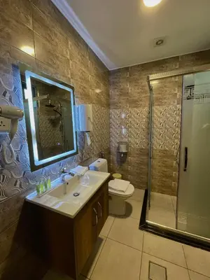 a bathroom with a sink and a shower and a toilet at Fragrant Rose in Wadi Musa
