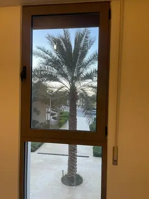 a palm tree is seen through a window at Alraha VIP Marsa zayed Aqaba in Aqaba