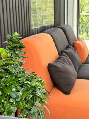 an orange couch with a pillow and a plant at Shams Farm in Ajloun