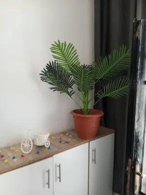 a plant in a pot on top of a cabinet at petra sun apartment in Wadi Musa
