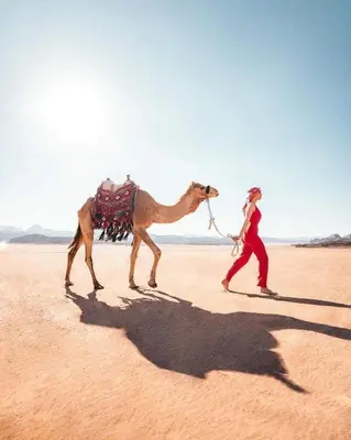 a woman walking a camel in the desert at Wadi Rum Marina Camp in Wadi Rum