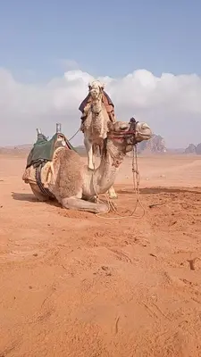 Gallery image of Jeep Trip in Disah
