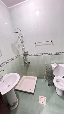 a bathroom with a sink and a toilet at Sara apartment in Wadi Musa