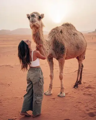 a young girl standing next to a camel in the desert at Wadi rum camp in Wadi Rum