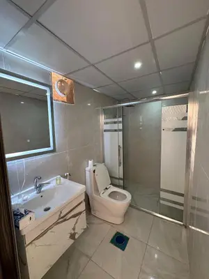 a bathroom with a toilet and a sink and a shower at RUM MOON lUXURY CAMP in Wadi Rum