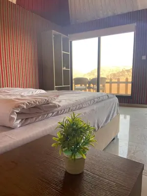 a bedroom with a bed and a potted plant on a table at Dessert flowers wadi rum in Disah