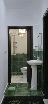 a bathroom with a sink and a toilet at Blue Bird House in Wadi Musa