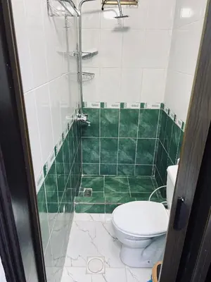 a green and white bathroom with a toilet and a shower at Blue Bird House in Wadi Musa