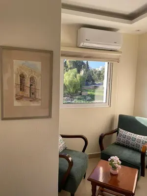 a living room with a green couch and a window at Classy Guesthouse in Madaba