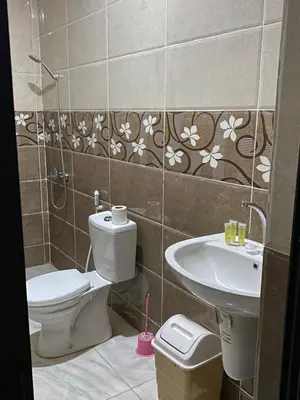 a bathroom with a toilet and a sink at nature camp in Wadi Rum