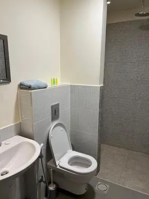 a bathroom with a toilet and a sink at E03 Samarah Resort Apartments in Sowayma