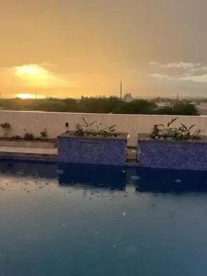 two plants in pots on a wall with water at Deadsea Elite First floor shared swimming pool in Sowayma