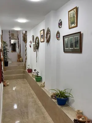 a hallway with potted plants on the walls at The guset house in Kerak