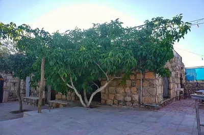 a tree next to a stone wall with benches at Al-Karak Countryside and hotel in Ad Dimnah