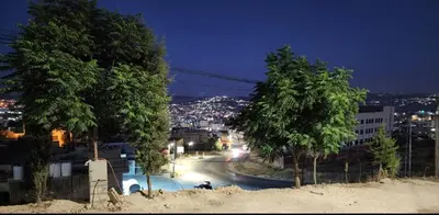 two trees on a hill with a street at night at Mickey Mouse studio in Jerash