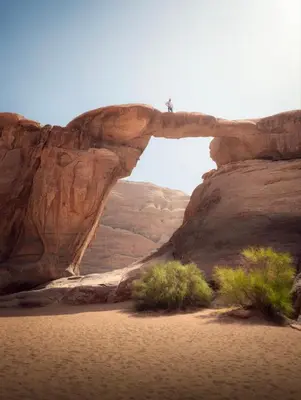 an arch in the desert with plants in the sand at Wadi Rum Magic Stars in Wadi Rum