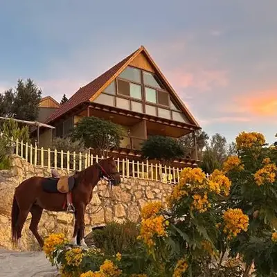 Dana luxury huts