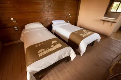 two beds in a room with wooden walls at Ajloun Forest Reserve in Jerash