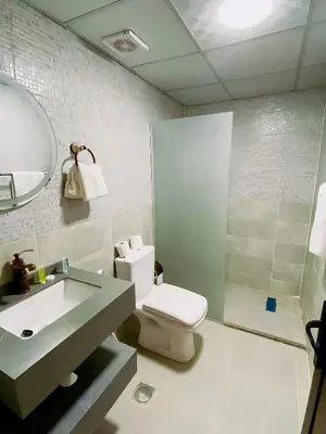a bathroom with a toilet and a sink and a shower at Romantic Moment Rum CAMP in Wadi Rum