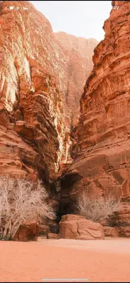 a canyon with red rocks in the desert at Salem Wadi Rum Road in Wadi Rum