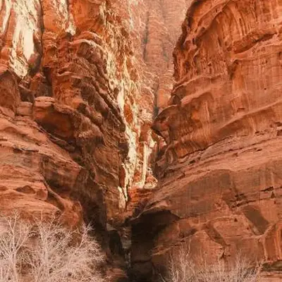 Salem Wadi Rum Road