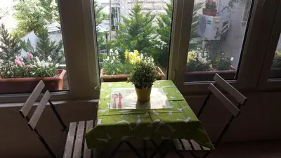 a table with a potted plant on it in front of windows at Two Bedroom Shmeisani Apartment in Amman