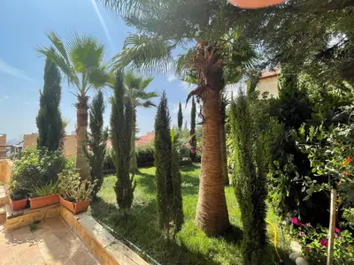 a row of palm trees in a yard at Horizon1 in Amman