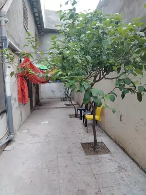 a corridor with benches and a tree in an alley at شقة الياسمين العائلية الفاخرة in Amman