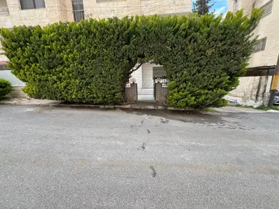 a large bush in front of a building at Casa De Centre 1 in Amman