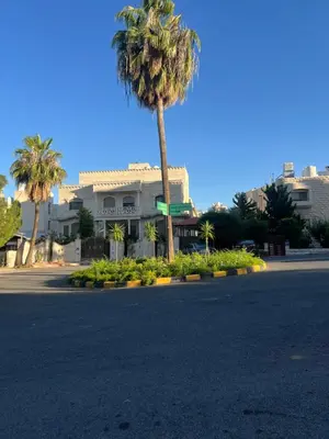 a palm tree in front of a building at Casa De Centre 2 in Amman