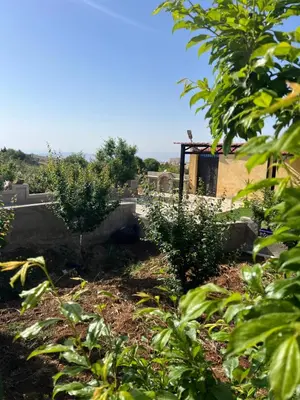 a garden with trees and a building in the background at شاليه جبال سوف in Jerash