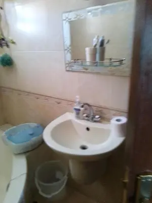 a bathroom with a sink and a mirror at Ayola Apartment in Madaba