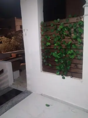 a window with a green plant growing on a wall at Bait Al-Masri in Um Qeis