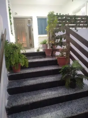 a set of stairs with potted plants in front of a house at Bait Al-Masri in Um Qeis
