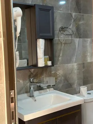 a bathroom with a sink and a toilet at Ram Al-Umda Luxury Camp in Wadi Rum