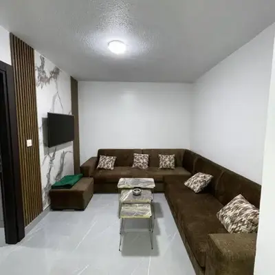 شقارى 16