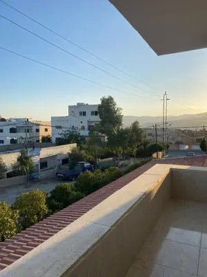 Gallery image of Anas in Jerash