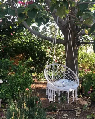 Gallery image of Serenity Villa By Seahorse in Amman