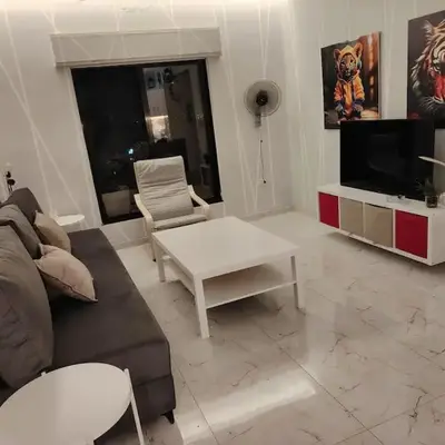 Cozy modern 2 bedroom apartment