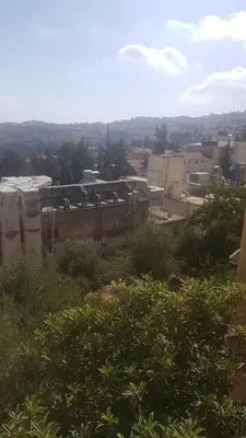 a view of a factory from a hill with bushes at ram77 in Al Salt