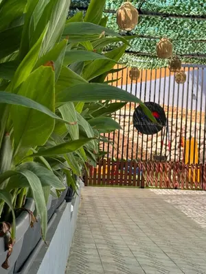a row of plants in front of a fence at شاليه بيت التل HILLHOUSE Chalet in Al Maşţabah