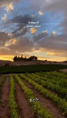a field of crops with the sunset in the background at Country cottage in Al Ḩayy