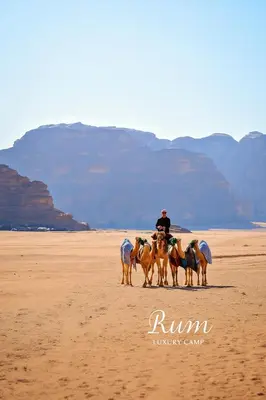 a man riding a group of horses on the beach at RUM LUXURY CAMp in Wadi Rum