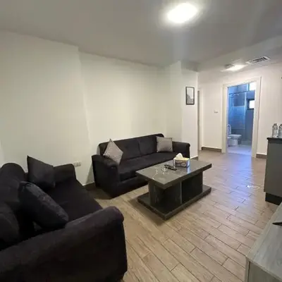 central apartment for rent 21