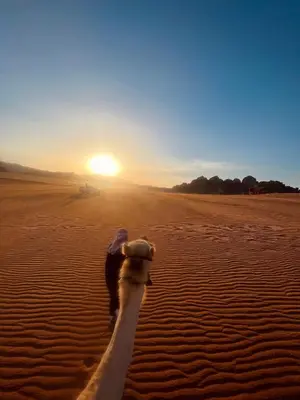 a person walking in the desert at sunset at Camille WadiRum Camp in Disah