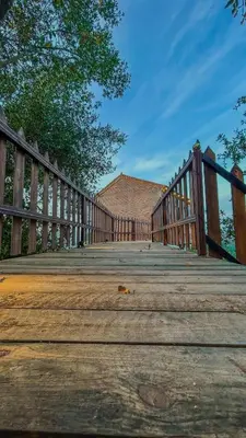 a wooden bridge with a dog sitting on it at اكواخ سفاري السياحية in Ajloun
