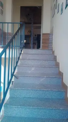 a set of stairs in a house with blue carpet at Hello hostel in Amman