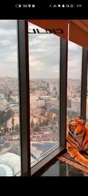 a view of a city from a window at شقه دوبلكس داماك العبدلي in Amman