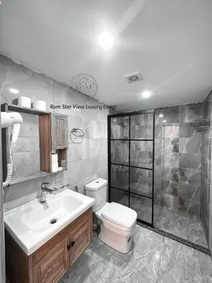 a bathroom with a toilet and a sink and a shower at RUM STAR VIEW BUBBLES lUXURY CAMP in Wadi Rum